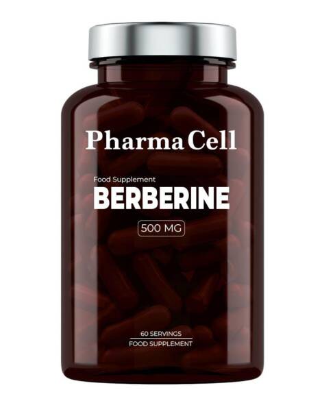 Berberine 500mg